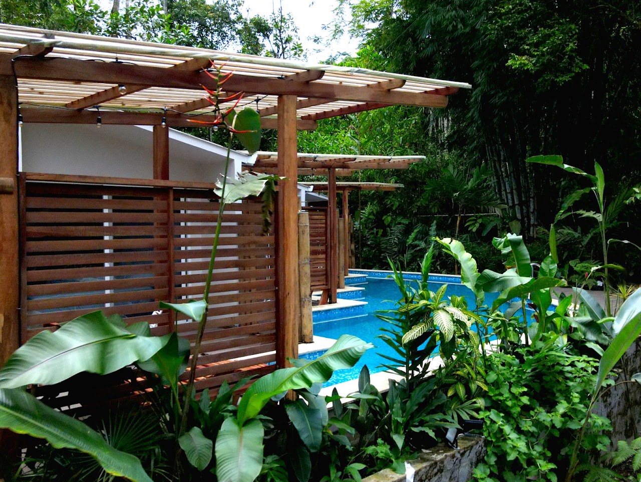 Subtropica Premium Suites