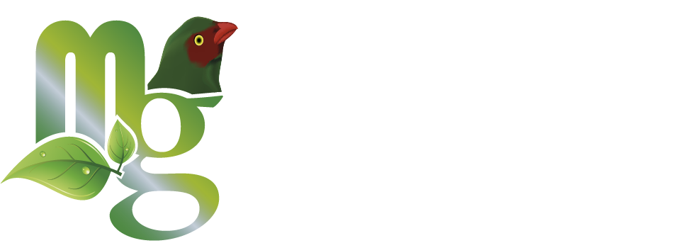 Mindo Green logo